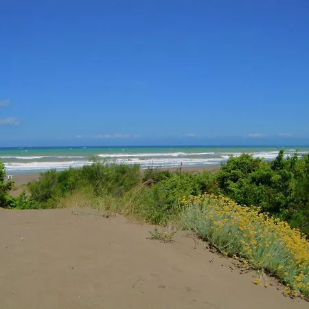 Holiday home Huge In Marina Di Castagneto Carducci Near Sea *