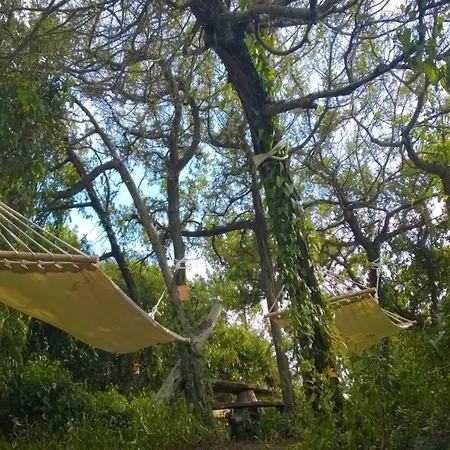 Holiday home Huge In Marina Di Castagneto Carducci Near Sea Donoratico