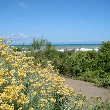 Huge In Marina Di Castagneto Carducci Near Sea * ドノラティコ